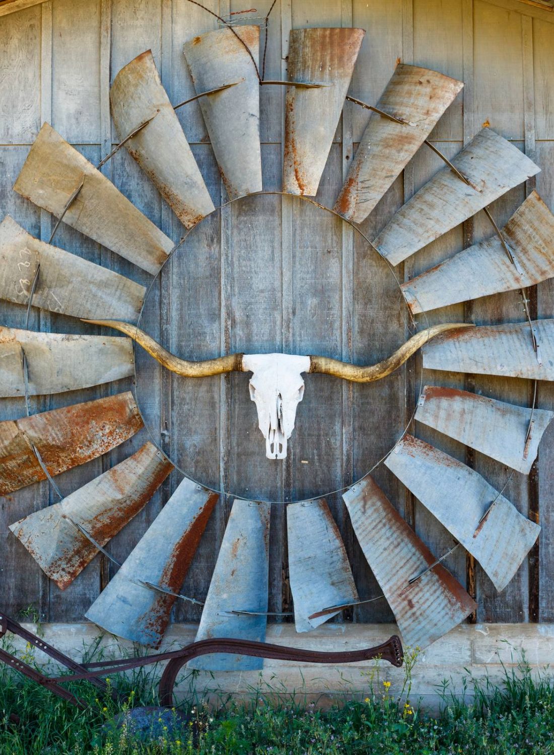 A cow skull hangs on old windmill blades mounted on a weathered barn wall, with an old plow below.